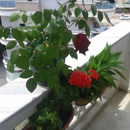 Apartamento Aygun Mahmutlar